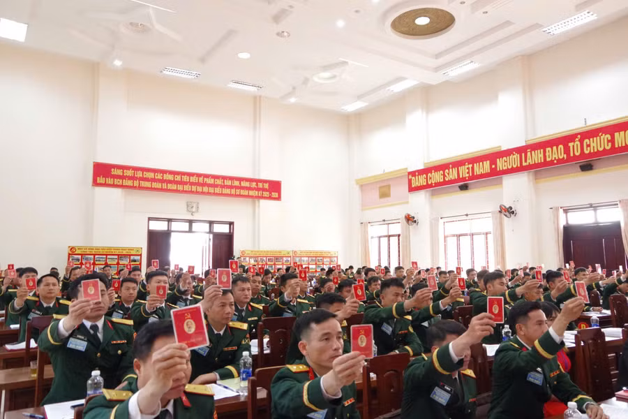cac-dai-bieu-bieu-quyet.jpg