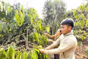 Đổi nếp nghĩ, cách làm để thoát nghèo bền vững