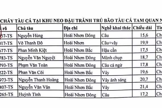 gia-lai-chay-tau-ca-Cang-ca-Tam-Quan