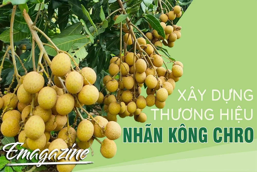 Xây dựng thương hiệu nhãn Kông Chro