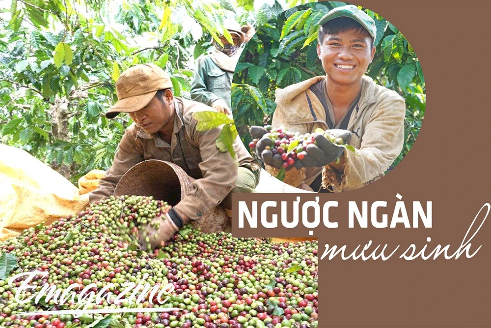 Ngược ngàn mưu sinh