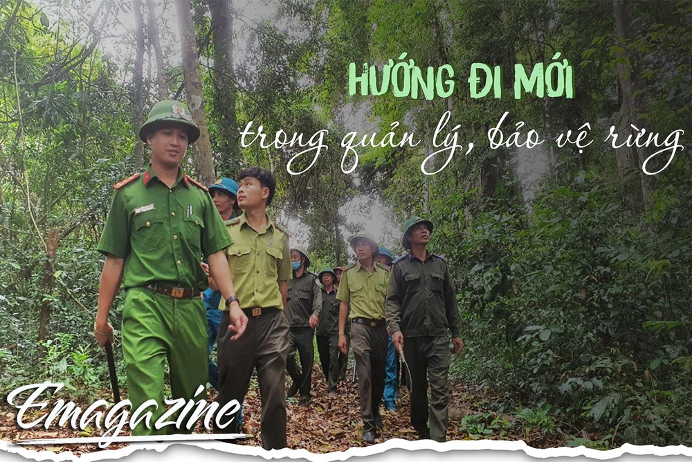 Hướng đi mới trong quản lý, bảo vệ rừng