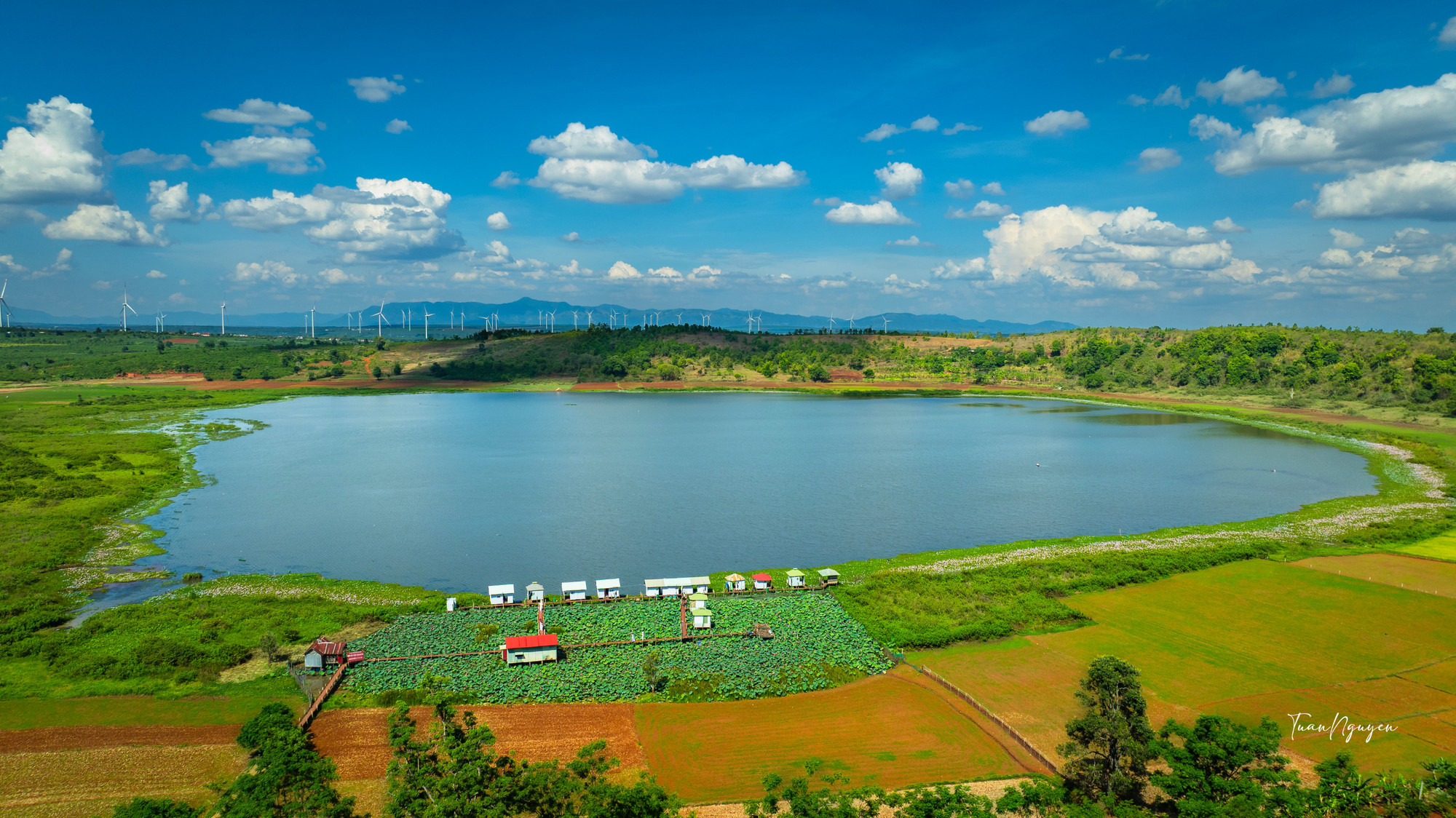La temporada de floración del loto embellece el lago Ia Bang, un remanente de un volcán extinto de un millón de años ubicado en medio del valle. Foto: Tuan Nguyen 3-sen-tuan-nguyen.jpg