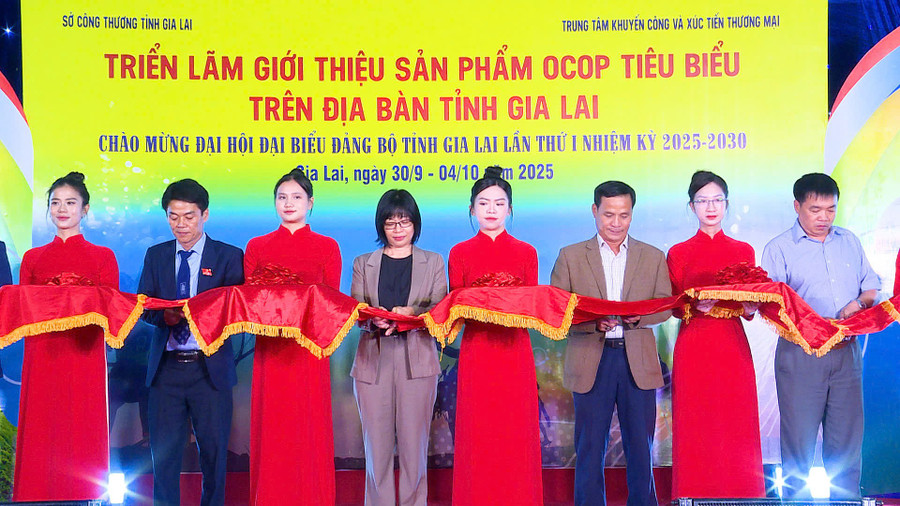 Phó Chủ tịch UBND tỉnh Nguyễn Thị Thanh Lịch (thứ 4 từ trái sang) cùng các đại biểu cắt băng khai mạc triển lãm. Ảnh: Huy Toàn pho-chu-tich-ubnd-tinh-nguyen-thi-thanh-lich-thu-4-tu-trai-qua-va-cac-dai-bieu-cat-bang-khai-mac-trien-lam-anh-huy-toan.jpg