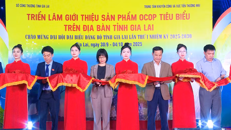pho-chu-tich-ubnd-tinh-nguyen-thi-thanh-lich-thu-4-tu-trai-qua-va-cac-dai-bieu-cat-bang-khai-mac-trien-lam-anh-huy-toan.jpg