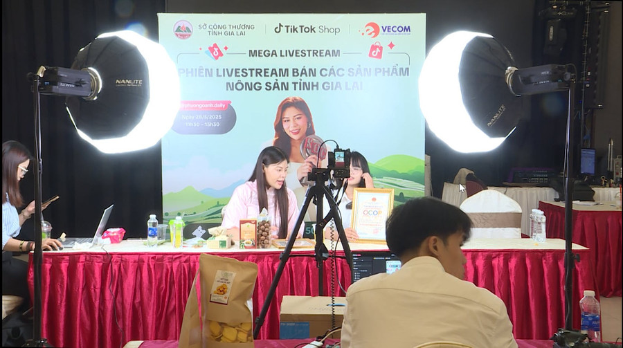 Nhà sáng tạo nội dung Lê Phương Oanh (Tiktok Phương Oanh Daily) trong 1 lần hỗ trợ các DN, HTX tỉnh Gia Lai livestream bán hàng trực tuyến. Ảnh: Phi Long nha-sang-tao-noi-dung-le-phuong-oanh-kenh-tiktok-phuong-oanh-daily-trong-1-lan-ho-tro-cac-dn-htx-tinh-gia-lai-livestream-ban-hang-truc-tuyen-vao-cuoi-thang-52025-1.jpg