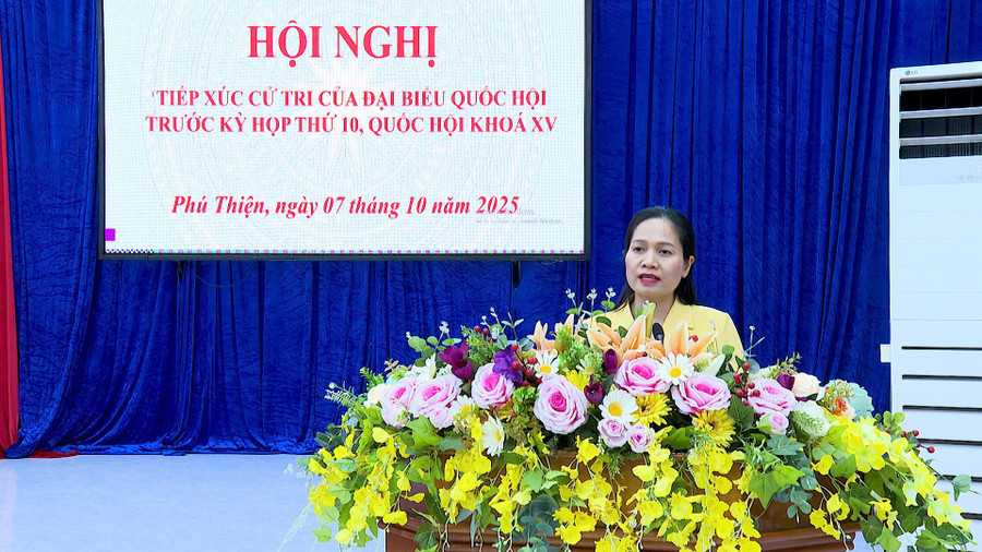 Phó Trưởng đoàn chuyên trách đoàn ĐBQH tỉnh Gia Lai Siu Hương trả lời các kiến nghị của cử tri. Ảnh: Mạnh Hà pho-truong-doan-chuyen-trach-doan-dbqh-tinh-gia-lai-siu-huong-tra-loi-cac-kien-nghi-cua-cu-tri-anh-manh-ha.jpg