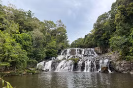 Tỷ lệ che phủ rừng của Gia Lai đạt 47,59 %