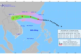 Bản đồ dự báo quỹ đạo và cường độ bão số 09 phát lúc 08h00 ngày 23/9/2025