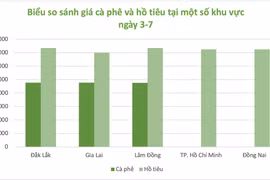 Thị trường nông sản khởi sắc, hồ tiêu tăng thêm 2.000-5.000 đồng/kg