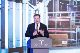 Tỷ phú công nghệ, Giám đốc điều hành Tesla và SpaceX, ông Elon Musk. Ảnh tư liệu: THX/TTXVN