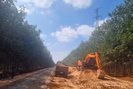  Rà soát, quản lý hiệu quả các dự án đầu tư công trong giai đoạn tổ chức lại đơn vị hành chính Gia Lai