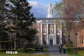Bị thu hồi quyền tuyển sinh viên quốc tế, Đại học Harvard đâm đơn kiện Chính phủ Mỹ