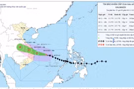 Dự báo chiều nay bão sẽ chỉ còn cách Quy Nhơn 120km. Ảnh: P.V
