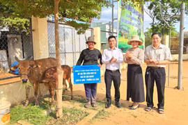 Pleiku, Ayun Pa, Ia Grai trao nhà và sinh kế cho hộ nghèo