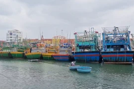 Gia Lai: Chủ động ứng phó với gió mạnh trên biển