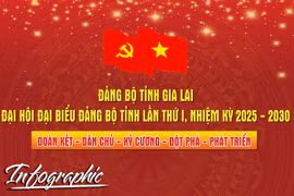 Đại hội đại biểu Đảng bộ tỉnh Gia Lai lần thứ I