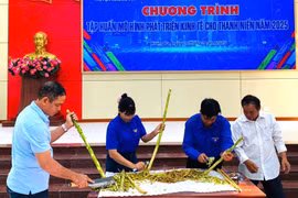 Tập huấn mô hình phát triển kinh tế cho 242 thanh niên huyện Krông Pa