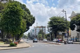 Gia Lai hướng dẫn áp dụng định mức kinh tế-kỹ thuật các dịch vụ sự nghiệp về đô thị