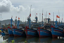 Gia Lai: Khẩn trương kêu gọi 83 tàu ra khỏi vùng nguy hiểm của bão số 13