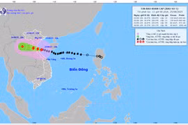Bão số 5 cách đất liền khoảng 80 km, dự kiến sẽ đổ bộ vào chiều 25-8