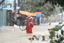 Triển khai ngay các nhiệm vụ, biện pháp cần thiết để bảo đảm an toàn tính mạng cho người dân