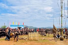 Cao nguyên lan tỏa phong trào xây dựng đời sống văn hóa