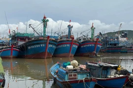 Tàu thuyền vào nơi neo đậu an toàn trước khi bão số 13 đổ bộ. Ảnh: P.V