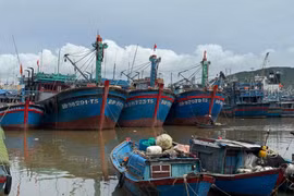 Tàu thuyền vào nơi neo đậu an toàn trước khi bão số 13 đổ bộ. Ảnh: P.V