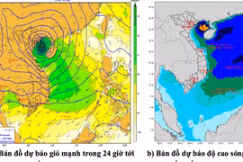 Vùng biển Gia Lai có gió mạnh, sóng to, đất liền mưa giông