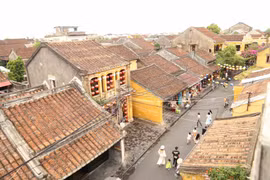 Chính phủ triển khai thi hành Luật Di sản văn hóa 