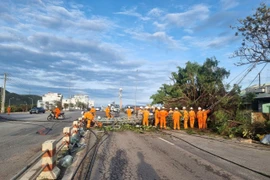 Nhân viên điện lực nhanh chóng có mặt khắc phục hậu quả do thiên tai. Ảnh: P.V