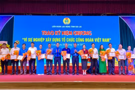 Gia Lai: Tặng kỷ niệm chương "Vì sự nghiệp xây dựng tổ chức Công đoàn Việt Nam" cho 181 cá nhân