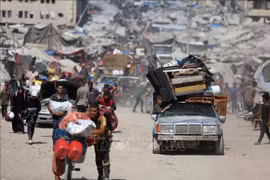 Palestine kêu gọi thông qua Tuyên bố New York