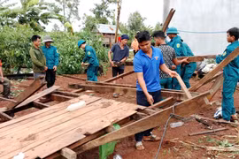 Gia Lai: Các địa phương nhanh chóng khắc phục thiệt hại sau bão
