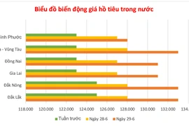 Ngày 29-6, giá tiêu tăng vọt đến 5.000 đồng/kg, cà phê cũng nhích nhẹ 400 đồng/kg