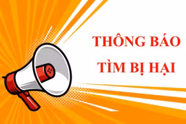 Công an tỉnh Gia Lai tìm bị hại liên quan đến đối tượng Phan Trần Tiến