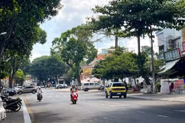 Cảnh báo giông lốc, mưa đá trên địa bàn tỉnh Gia Lai