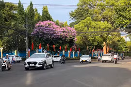 UBND tỉnh Gia Lai chỉ đạo thực hiện Nghị quyết số 154/NQ-CP về phát triển kinh tế-xã hội năm 2025