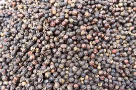 Sáng 20-6, cà phê Gia Lai còn 103.500 đồng/kg, hồ tiêu còn 127.500 đồng/kg