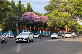 Gia Lai điều chỉnh dự toán thu, chi ngân sách năm 2025 sau sắp xếp đơn vị hành chính