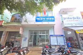 Tạm thời chuyển các Ban Quản lý dự án cấp huyện, Trung tâm Phát triển quỹ đất TP. Pleiku thành đơn vị sự nghiệp công lập