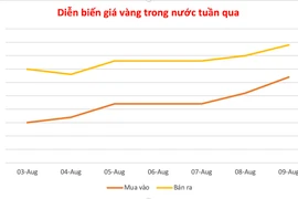 Vàng miếng tiếp tục tăng 400.000 đồng vào ngày 9-8
