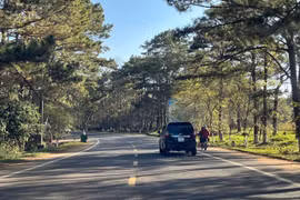 Đồng ý chủ trương bổ sung Cảng hàng không Măng Đen vào quy hoạch