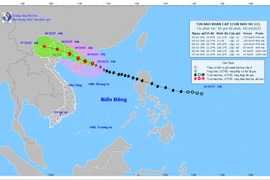 Đề phòng giông, lốc, gió mạnh khi bão số 11 đổ bộ