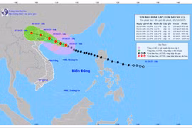 Đề phòng giông, lốc, gió mạnh khi bão số 11 đổ bộ