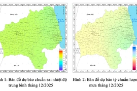 Dự báo trong tháng 12, biển Đông có khả năng đón từ 1-2 cơn bão, áp thấp nhiệt đới