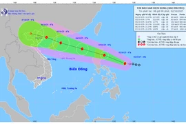 Áp thấp nhiệt đới đã mạnh lên thành bão, có tên quốc tế Matmo