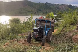 Gia Lai: Bé trai 6 tuổi tử vong do ngã khỏi xe máy cày khi theo bố mẹ đi nhổ mì