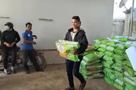 Cấp 8 tấn giống lúa TBR97 cho nông dân xã Ia Khươl